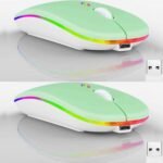 2 pack Wireless Bluetooth Mouse,LED Dual Mode Rechargeable Silent Slim Laptop Mouse,Portable(BT5.2+USB Receiver) Dual Mode Computer Mice,for Laptop,Desktop Computer,ipad Tablet,Phone,Mac(Green)
