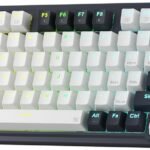 75% Wireless Gasket RGB Gaming Keyboard, 3-Modes 81 Keys Compact Mechanical Keyboard Hot-Swap Socket, Dedicated Knob Control and Sound Absorbing Pads, Linear Red Switch